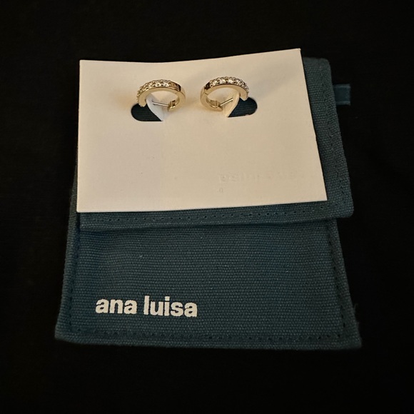 Ana Luisa Medium Suzanne Huggies Earrings - Picture 7 of 10